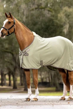 lemieux Kudos Bambus Absorberende dekken Fern