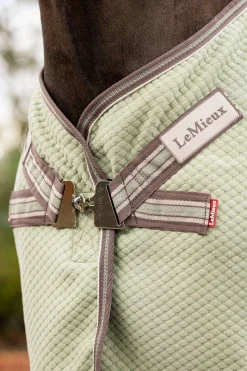 lemieux Kudos Bambus Absorberende dekken Fern