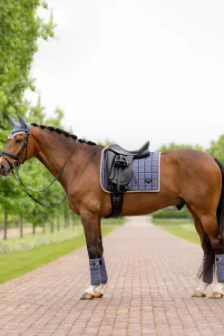 lemieux Loire Classic dressursjabrak JayBlue