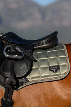 Sale lemieux Loire Square CC Sprangsjabrak Fern