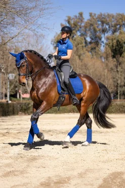 Online lemieux Luxury dressursjabrak BonnieBlue