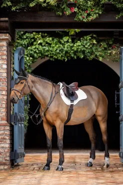 Best lemieux Prosorb Plain 2 Pocket Close Contact Pad White