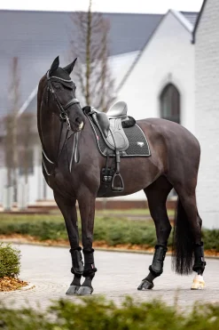 Best lemieux Puissance Suede dressursjabrak Black