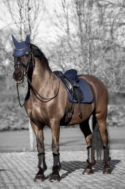 lemieux Square Bomulls Dressursjabrak DB/AB