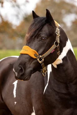 Outlet lemieux Vogue grime & leietau set Alpine