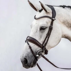 New psofsweden PS of Sweden Flying Change hodelag Brown