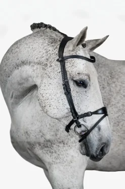 Sale psofsweden PS of Sweden Hodelag, Mary Lou av Henrik von Eckermann black