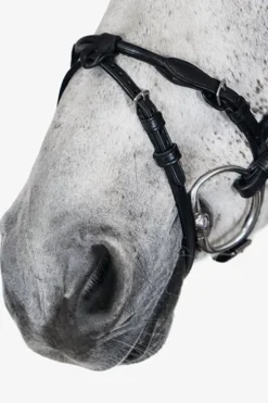 Sale psofsweden PS of Sweden Hodelag, Mary Lou av Henrik von Eckermann black