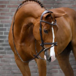 psofsweden PS of Sweden Stockholm hodelag Black