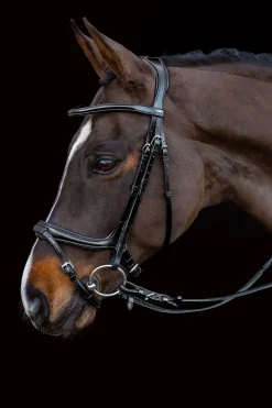 Clearance schockemohle Schockemöhle Sports Ancona Select Trense black/silver