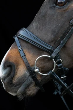 Best schockemohle Schockemöhle Sports Charleston Hodelag black/silver