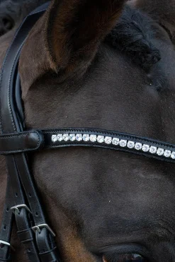 Best schockemohle Schockemöhle Sports Charleston Hodelag black/silver