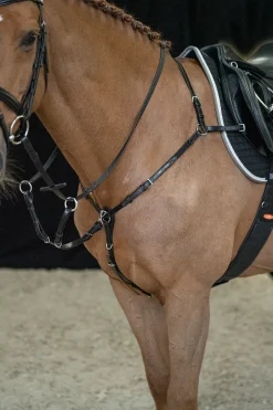 Outlet schockemohle Schockemöhle Sports Como Fortøy black/silver