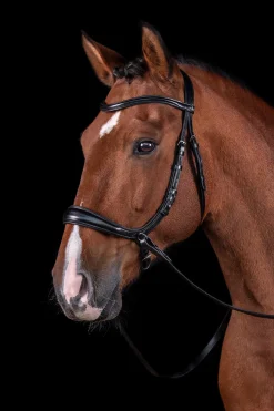 Hot schockemohle Schockemöhle Sports Equitus Theta 3-i-1 hodelag Black/Silver