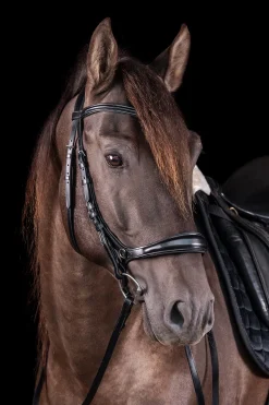 Hot schockemohle Schockemöhle Sports Equitus Theta 3-i-1 hodelag Black/Silver