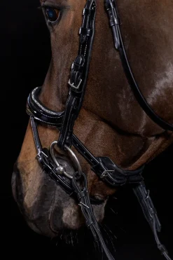 Sale schockemohle Schockemöhle Sports Equitus Beta Glam hodelag black/patent/silver