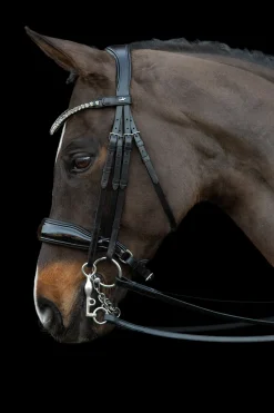 Online schockemohle Schockemöhle Sports Milazzo Kandar black/silver