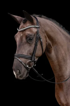 Hot schockemohle Schockemöhle Sports Palermo Trinse black/patent/silver