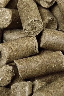 speed Eucalyptus Delicious ies, godbiter, 5 kilo White/Blue