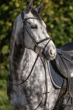 Best sprenger Dynamic RS Sensogen Bit 14 mm Sliver