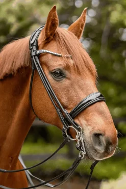 Sale sprenger Novocontact Weymouth 14mm Sensogan med 5cm rustfrie stålkjefter silver