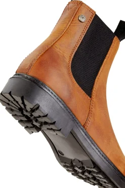 Sale suedwindfootwear Suedwind Footwear New Work ankelboots, Chelsea ChampagneLightBrown