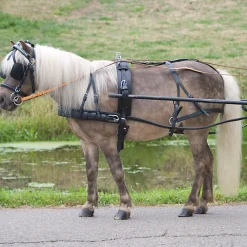 Sale waldhausen Economic sele, enbet, ponni og shetland Black