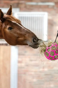 Online waldhausen Høball pink