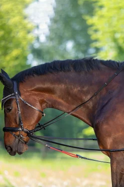 Hot waldhausen WTrainrein Black