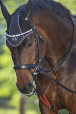 Hot waldhausen WTrainrein Black