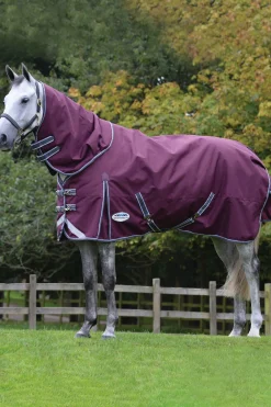Best weatherbeeta Comfitec Plus Dynamic II Detach-a-Neck Heavy Turnout Rug, 360g DarkRed/Grey