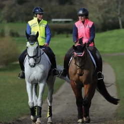 New weatherbeeta reflekterende, vattert vest, voksen Hotneonpink