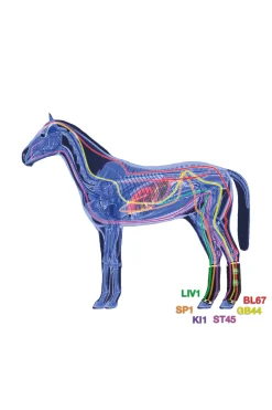 zandona Air terapeutisk støttebelegg bakbein Black/Beige